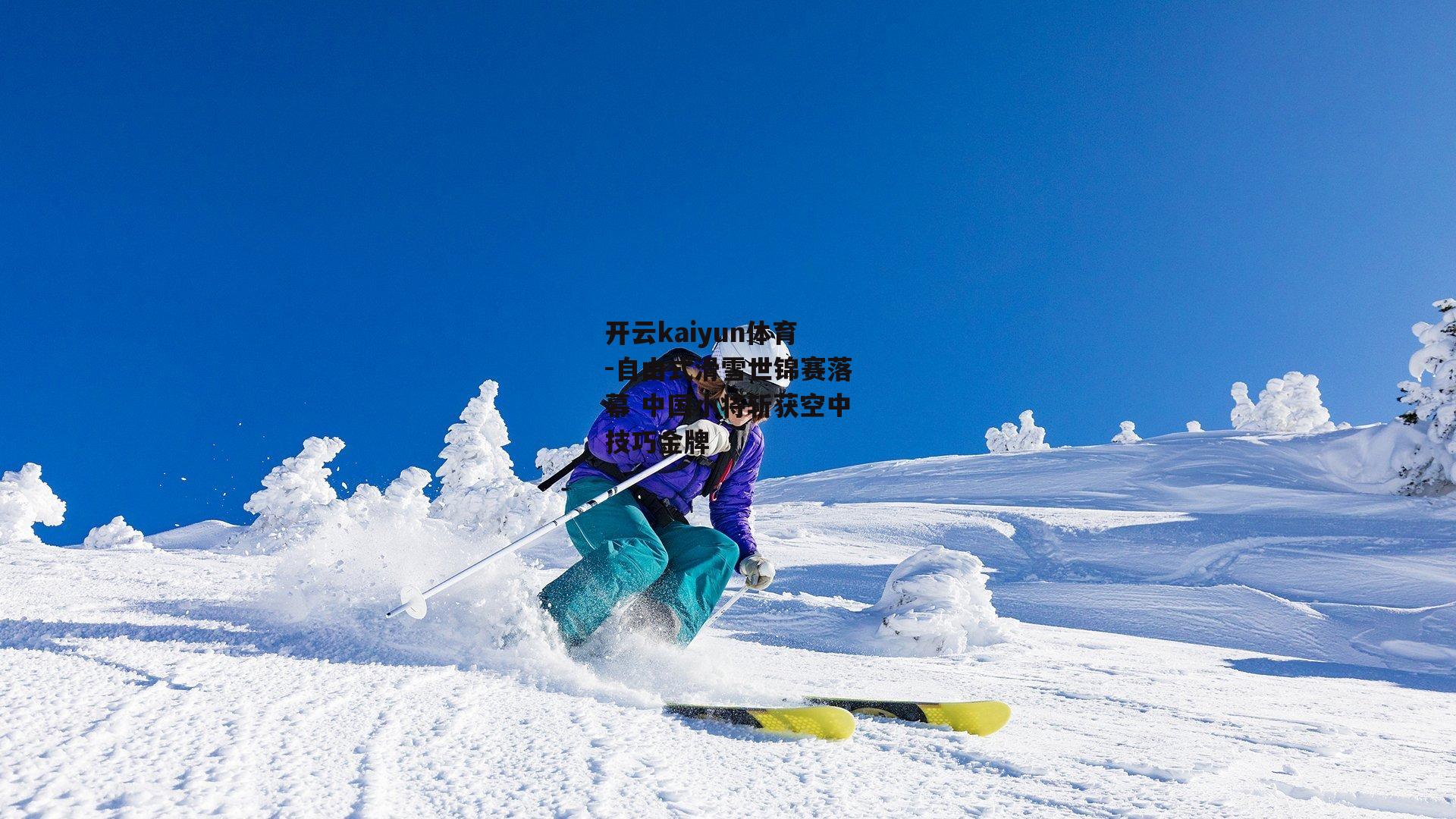 自由式滑雪世锦赛落幕 中国小将斩获空中技巧金牌